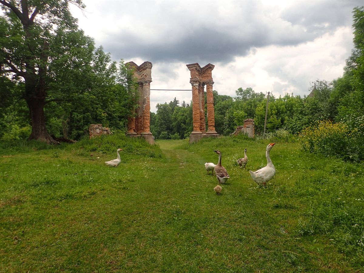 Manor De Shoduara (Ivanitsa)