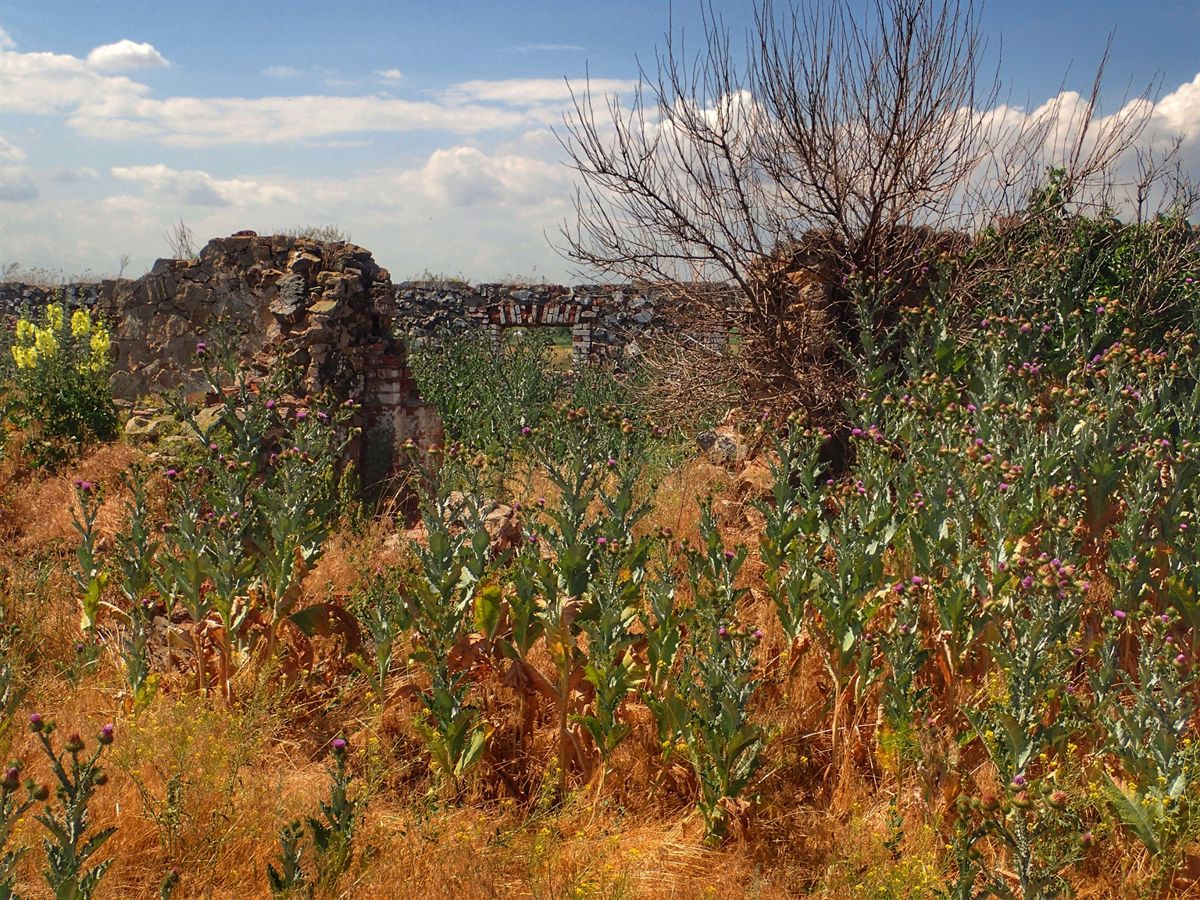 Fortress Zakharievskaya