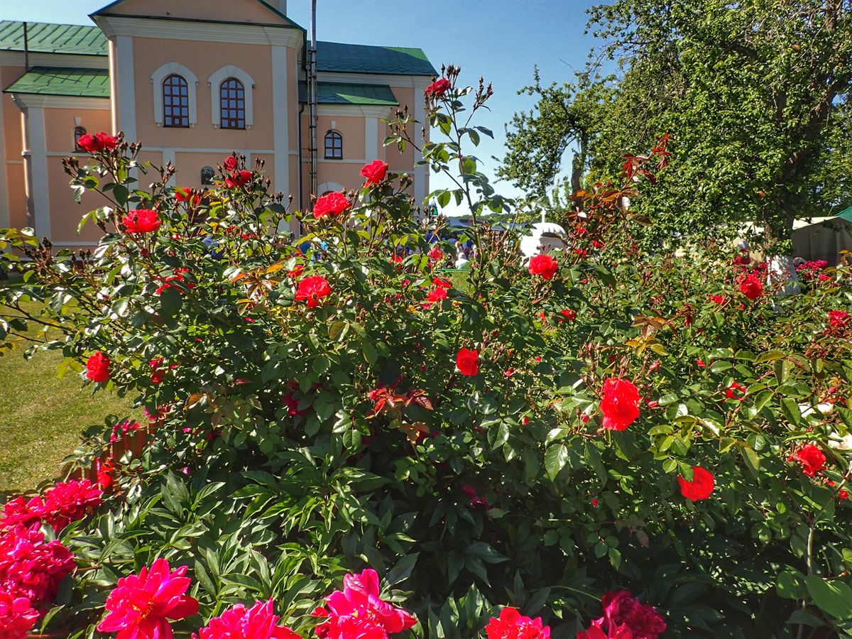 Motronynske Holy Trinity Monastery