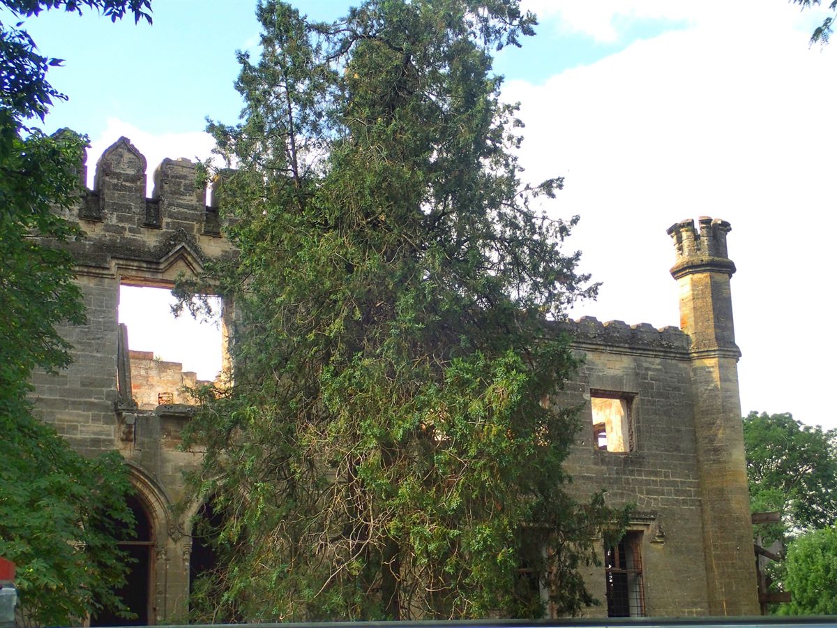 Castle Kurisov