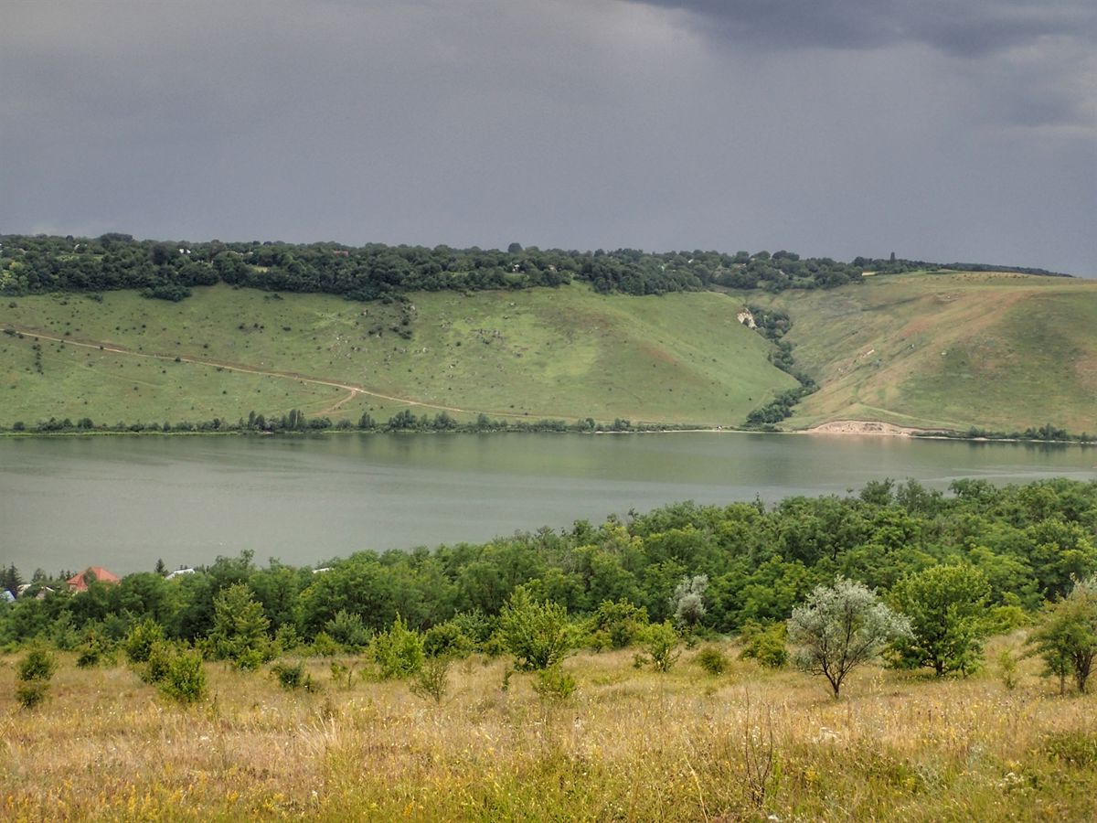 Bakota