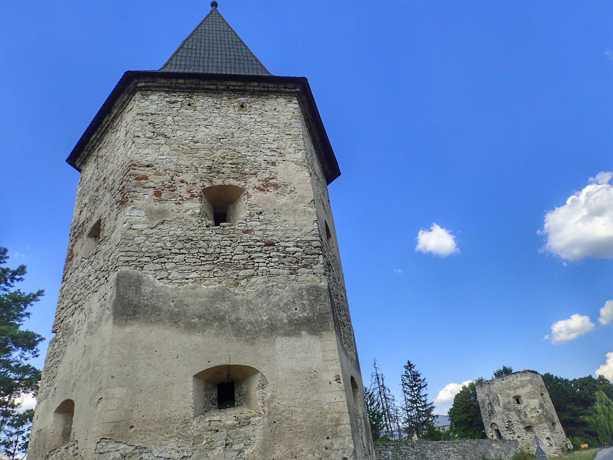 Castle Kryvche