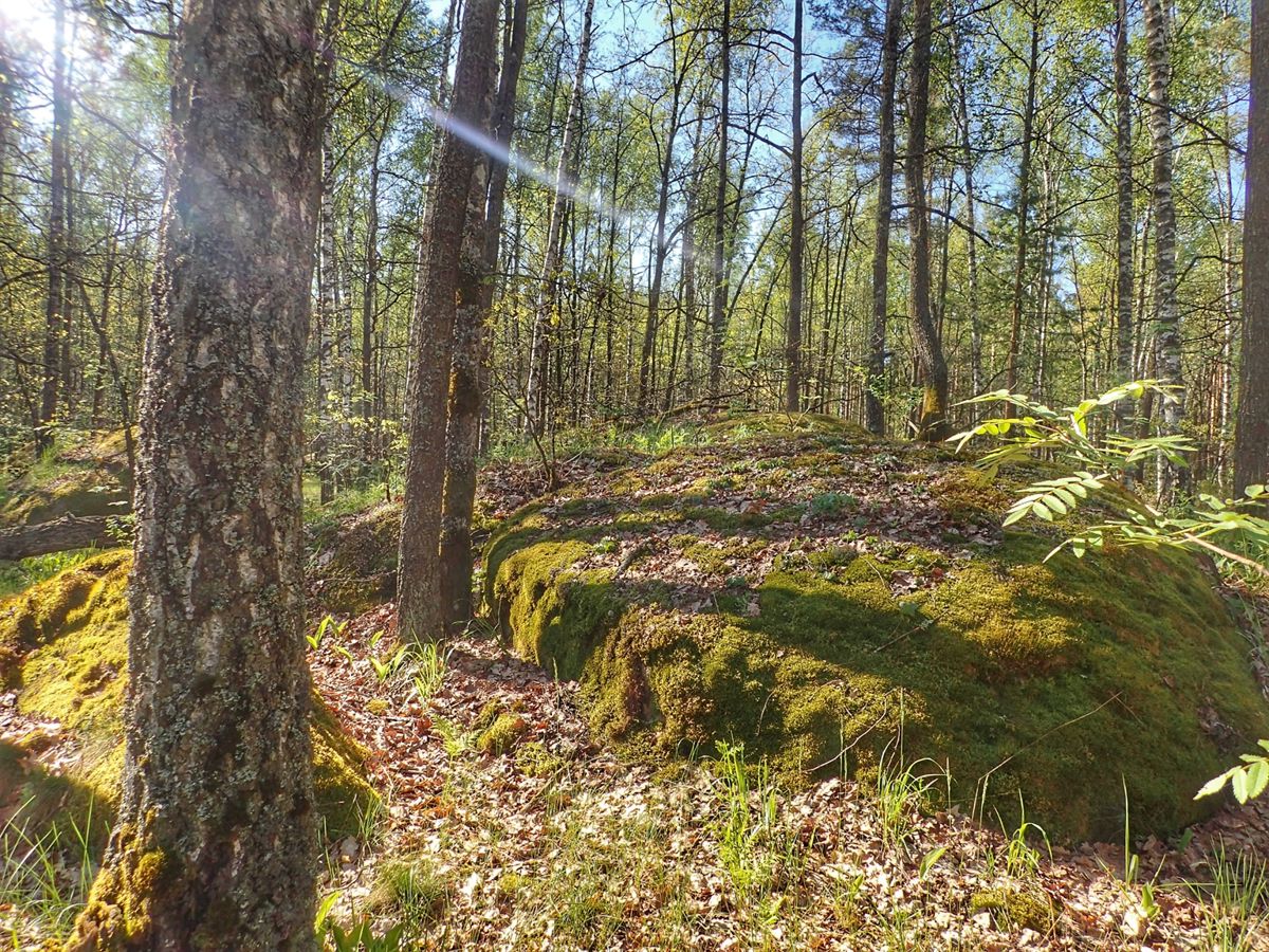 Каменное село