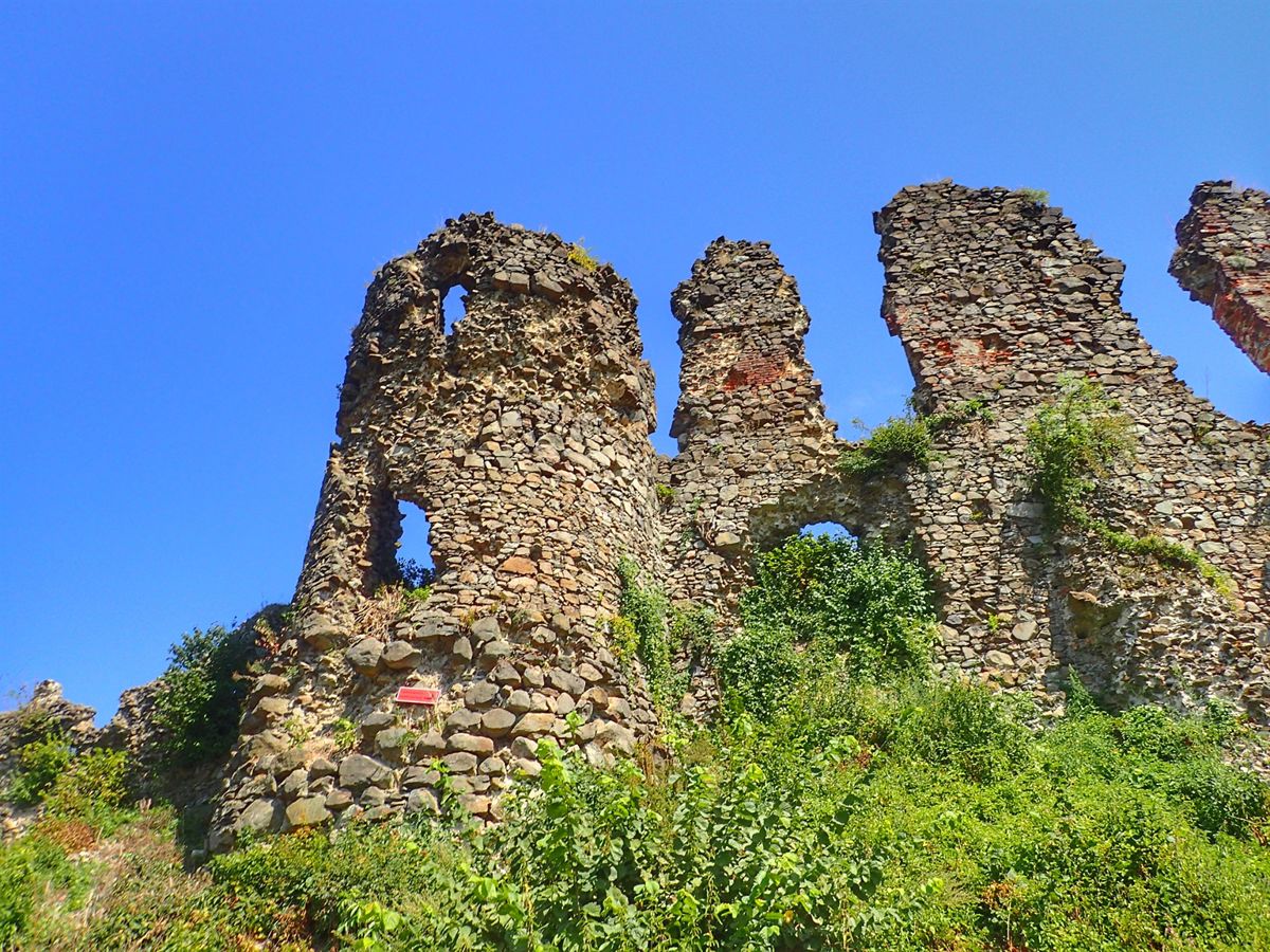 Khust Castle
