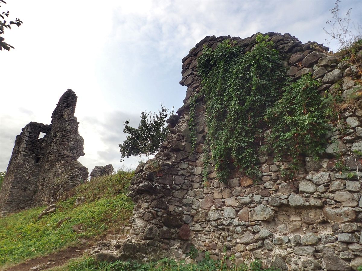 Vinogradivskiy Castle