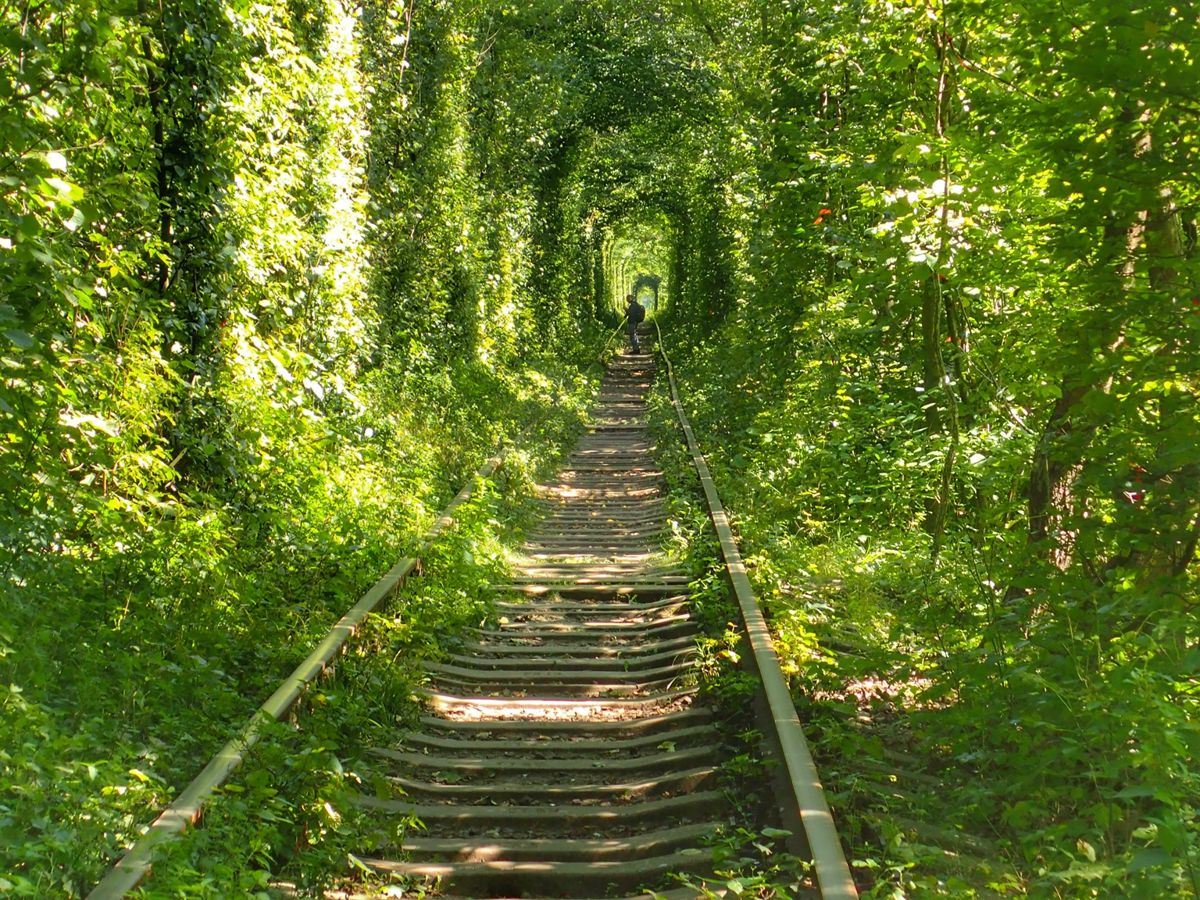 Тоннель любви