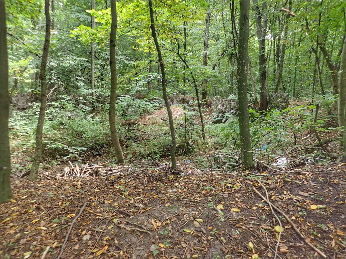 Goring Bunker