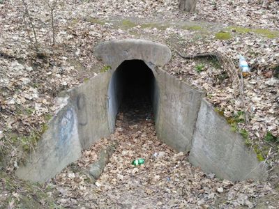 Bunker/DOT 401
