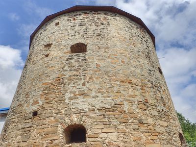 Budaniv Castle