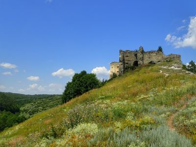 Kurdryntsi Castle
