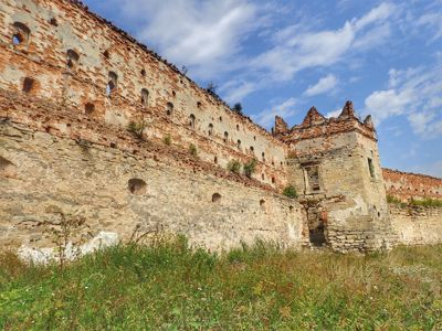 Castle Stary Selo