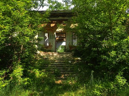 Slide Image