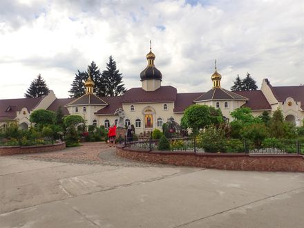 Slide Image