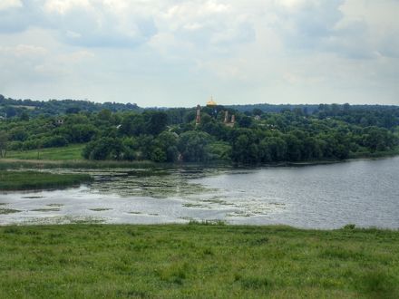 Slide Image