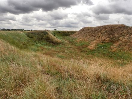 Slide Image