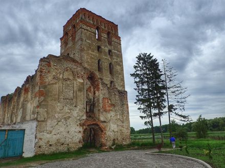 Slide Image