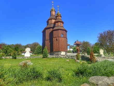 Slide Image