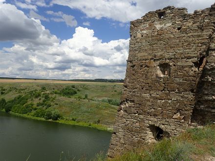 Slide Image