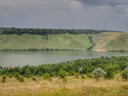 Slide Image