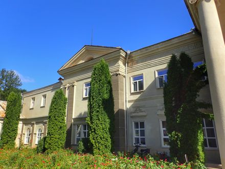 Slide Image