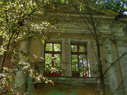 Slide Image