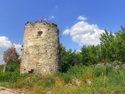 Slide Image