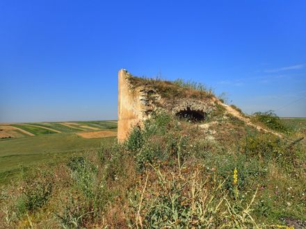 Slide Image