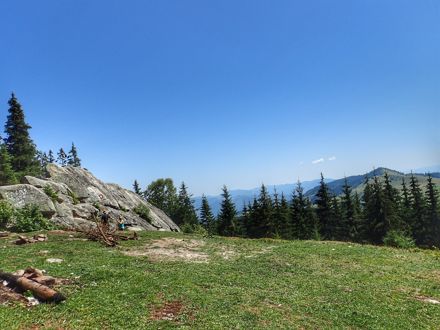 Slide Image