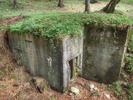 Slide Image