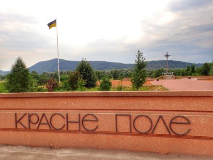 Slide Image