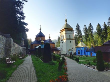 Slide Image