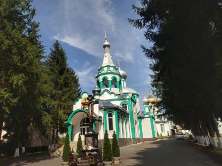 Slide Image