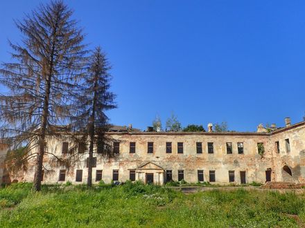 Slide Image