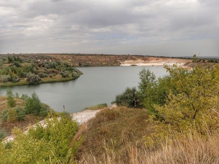 Slide Image