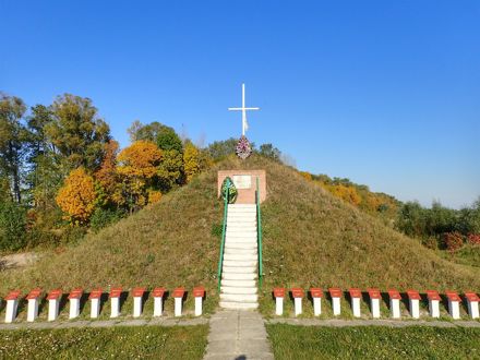 Slide Image