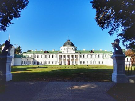 Slide Image