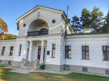Slide Image