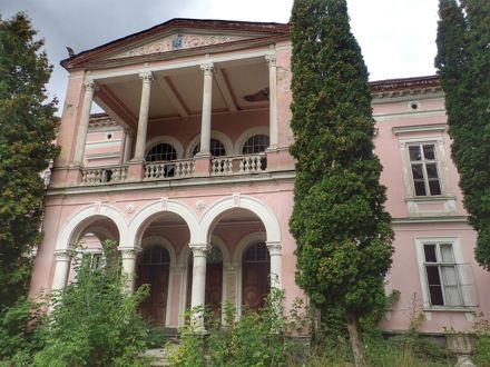 Slide Image